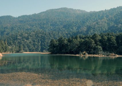 रामारोशन विकासको मापक के ?