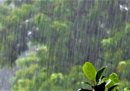 सोमबारबाट फेरि भारी बर्षाको सम्भावना, सर्तकता अपनाउन आग्रह
