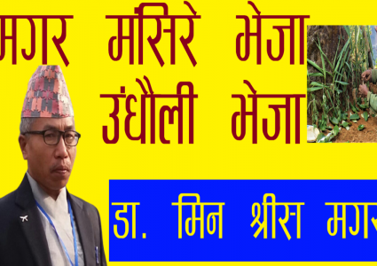 मंसिरेभेजा (उँधौलीभेजा) एक परिचय